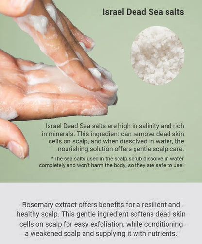 Aromatica Rosemary Exfoliant pentru scalp 165g